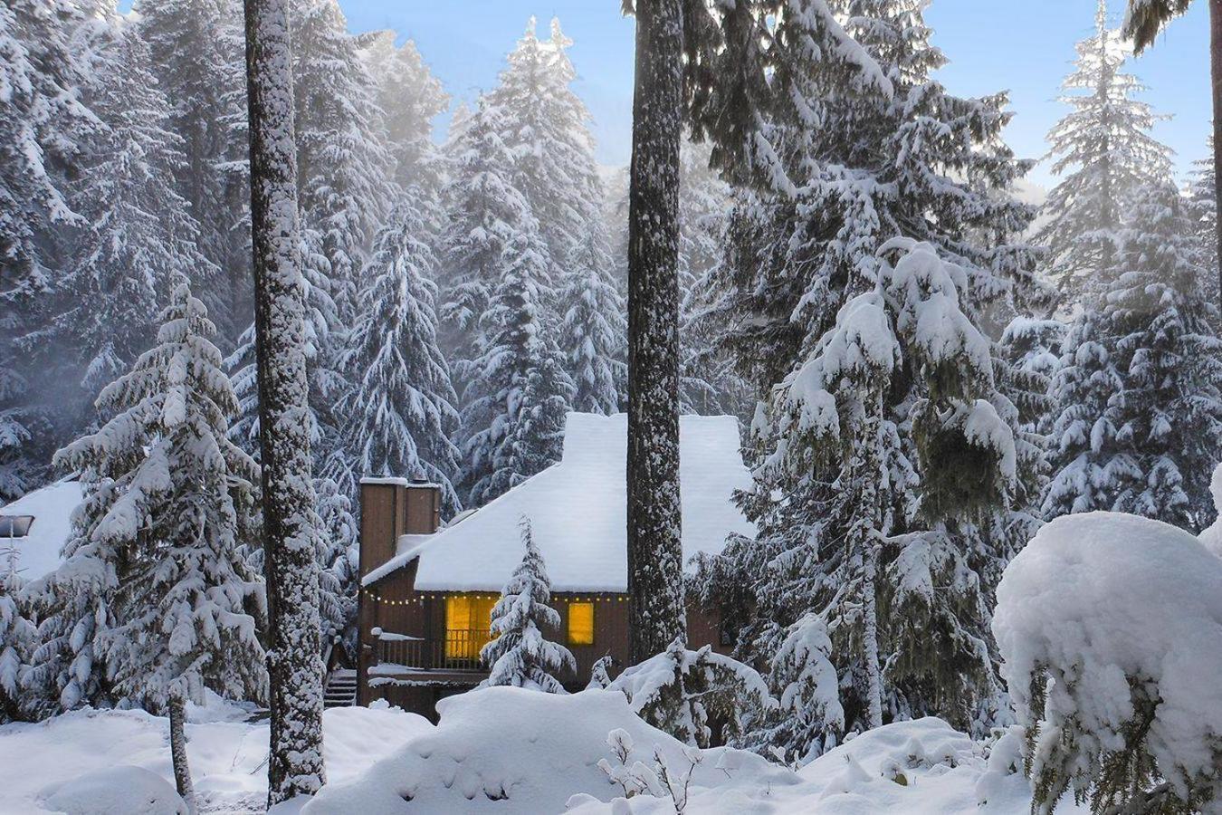 Loge Alta Crystal At Mt Rainier Hotel